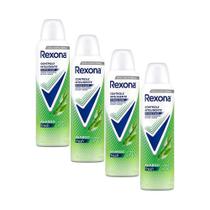 Kit 4 Desodorantes Rexona Motionsense Antitranspirante Aerossol Stay Fresh Bamboo + Aloe Vera 150ml Kit 4 Desodorantes Rexona Motionsense Antitranspirante Aerossol Stay Fresh Bamboo + Aloe Vera 150ml