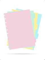 Kit 4 Divisórias Caderno de Disco B5 Escolar Universitário Kit 4 Divisórias Caderno de Disco B5 Escolar Universitário