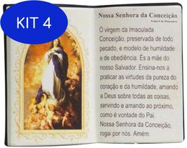 Kit 4 Enfeite Decorativo Em Resina Imaculada Conceição Livro
