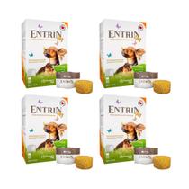 Kit 4 Entrin Dog Suplemento Vitamínico Cães Botupharma 210g
