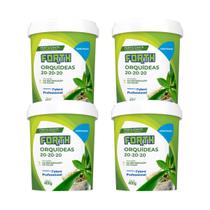 Kit 4 Fertilizante Forth Peters para Orquídeas 20-20-20 - 400 g Kit 4 Fertilizante Forth Peters para Orquídeas 20-20-20 - 400 g