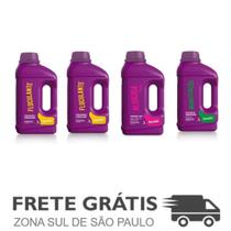 Kit 4 Floculante, Manutenção, Algicida 2 em 1 - Domclor Kit 4 Floculante, Manutenção, Algicida 2 em 1 - Domclor