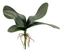 flor orquidea artificial realista em Promoção no Magazine Luiza