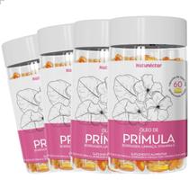 Kit 4 Frascos Óleo de Prímula Gelatinosas Vitamina E Borragem Linhaça Femme 240 Cápsulas Suplemento Alimentar Natural Kit 4 Frascos Óleo de Prímula Gelatinosas Vitamina E Borragem Linhaça Femme 240 Cápsulas Suplemento Alimentar Natural