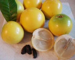 Kit - 4 Frutíferas Exóticas: Espécies Na Descrição