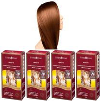 Kit 4 Henna Pó Castanho Dourado Surya, Cobre os Fios Brancos