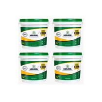 Kit 4 Impermeabilizante Em Pó 3kg Vbrasil P/ Cimento Argamassa