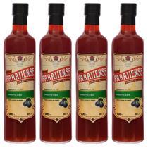 Kit 4 Licores Jabuticaba Paratiense 500 ml Namorado Piscina Creme Sabores Garrafa Fino Nacional Tradicional Sobremesas
