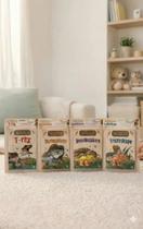 Kit 4 Livros Infantil Coleção Mundo Dos Minidinos Pterodáctilo, Espinossauro, T-rex E Tricerátopo C