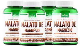 Kit 4 Malato de Magnésio Vitalab Suplemento com 120 Cápsulas