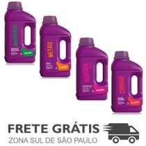 Kit 4 metais, Manutenção, choque, algicida 2 em 1 - Domclor Kit 4 metais, Manutenção, choque, algicida 2 em 1 - Domclor