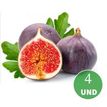 Kit 4 Mudas de Figo Roxo de Valinhos Clonado Estaca Kit 4 Mudas de Figo Roxo de Valinhos Clonado Estaca