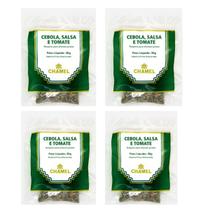 Kit 4 Pacote De Cebola Com Salsa E Tomate 30 Gramas - Chamel Kit 4 Pacote De Cebola Com Salsa E Tomate 30 Gramas - Chamel