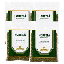 Kit 4 Pacote de Hortelã Chamel 30g Produto Original