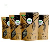 Kit 4 pct Chá Verde Importado - Camellia sinensis - 100g - Rocha Saúde