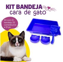 Kit 4 Peças Caixa de Areia Bandeja + 1 Comedouro + 1 Bebedouro + 1 Pá Coletora para Gatos Felino Cor Azul