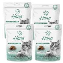 Kit 4 Petisco Hana Catnip Gato Petisco Adulto 60g