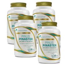 KIt 4 Pinus Pinaster 200mg de Procianidinas 4x60 cps Flora Nativa