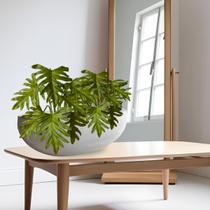 Kit 4 Plantas Artificiais em Silicone Buque de Folhagem Textura Natural para Sala, Lavabo, Escritório ou Hall - DE1725 Kit 4 Plantas Artificiais em Silicone Buque de Folhagem Textura Natural para Sala, Lavabo, Escritório ou Hall - DE1725