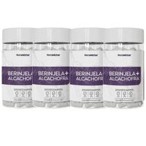 Kit 4 Potes Berinjela + Alcachofra Suplemento Natural 100% Puro Extrato Seco 240 Cápsulas Natunectar Original