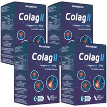 Kit 4 Potes Colágeno Tipo 2 Suplemento Alimentar Natural Vitamina Natunectar 240 Capsulas Rápida Absorção Premium Collagen