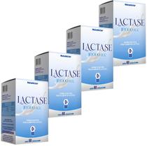 Kit 4 Potes Lactase Intolerância Lactose 10.000fcc Enzima Suplemento Alimentar Natural Original 100% Puro 240 Cápsulas