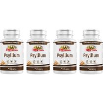 Kit 4 Psyllium 500mg 120 Cápsulas - Rei Terra