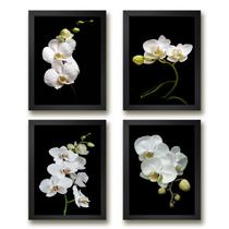 Kit 4 Quadros Florais Fotografias Orquídeas 45x34cm