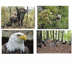 Kit 4 Quebra-Cabeças Atividades Animais Da Floresta 60 Peças