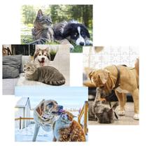 Kit 4 Quebra-Cabeças Atividades Mente Cães E Gatos 60 Peças Kit 4 Quebra-Cabeças Atividades Mente Cães E Gatos 60 Peças