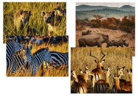 Kit 4 Quebra-cabeças Atividades para Mente Animais da Savana Africana 40 peças