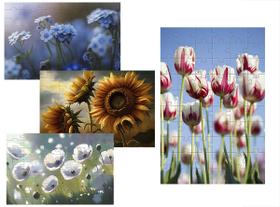 Kit 4 Quebra-cabeças Atividades para Mente As Flores 60 peças