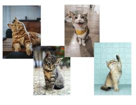 Kit 4 Quebra-Cabeças Cognitivos Gatinhos Novos 40 Peças Kit 4 Quebra-Cabeças Cognitivos Gatinhos Novos 40 Peças