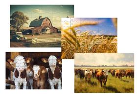 Kit 4 Quebra-Cabeças Cognitivos Vida Na Fenda De 60 Peças Kit 4 Quebra-Cabeças Cognitivos Vida Na Fenda De 60 Peças