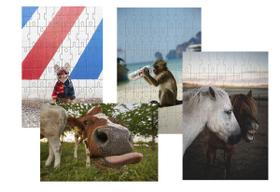 Kit 4 Quebra-cabeças crianças animais Divertidos 24 peças