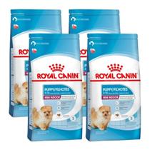 Kit 4 Ração Royal Canin Mini Indoor Junior Cão Filhote 2,5Kg