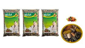 Kit 4 Rações para Hamster, Gerbil, Topolino, Rato de laboratório, Mercol / Twister 500g Belga Kit 4 Rações para Hamster, Gerbil, Topolino, Rato de laboratório, Mercol / Twister 500g Belga