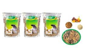Kit 4 Rações / Passarinho Pixarro Trinca-ferro Frutas E Sementes C/ Tenébrio 500 Kit 4 Rações / Passarinho Pixarro Trinca-ferro Frutas E Sementes C/ Tenébrio 500