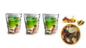 Kit 4 Rações / Pássaro Preto Sabiás Melros Oleosa Mamão com Frutas 500g