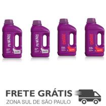 Kit 4 Redutor de pH menos, Algicida Choque - Domclor