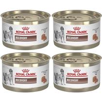 KIT 4 Royal Canin Recovery Ração Recuperação para Cão e Gato 195g