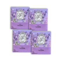 Kit 4 Sache Perfumado Lavanda 15g Giorno Casa