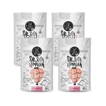 Kit 4 Sal Rosa Do Himalaia Grosso BR Spices Pouch 500G Kit 4 Sal Rosa Do Himalaia Grosso BR Spices Pouch 500G