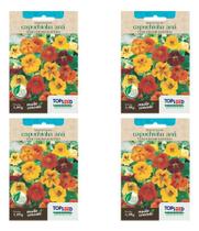 Kit 4 Sementes Capuchinha Anã (sortida) Flor Comestível 1g Kit 4 Sementes Capuchinha Anã (sortida) Flor Comestível 1g