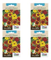 Kit 4 Sementes De Coreopsis Margaridinha Elegant Sortido Kit 4 Sementes De Coreopsis Margaridinha Elegant Sortido