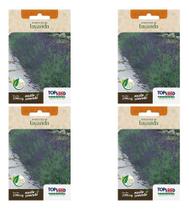 Kit 4 Sementes De Lavanda Alfazema Para Mudas Alta Germinação E Produção Kit 4 Sementes De Lavanda Alfazema Para Mudas Alta Germinação E Produção