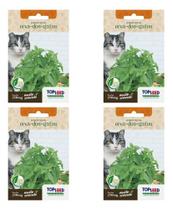 Kit 4 Sementes Erva Dos Gatos Nepeta Cataria Catnip Petisco