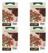 Kit 4 Sementes Pimenta Malagueta Picante Ardente Forte Horta Kit 4 Sementes Pimenta Malagueta Picante Ardente Forte Horta