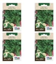 Kit 4 Sementes Salsa Lisa Salada Alta Germinação Hortas Vasos