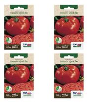 Kit 4 Sementes Tomate Gaúcho Gigante Para Mudas Hortas 400mg